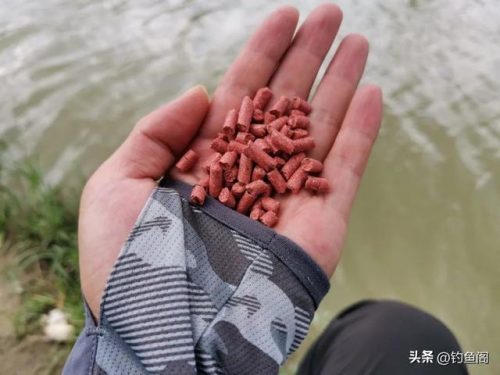 品牌颗粒鱼饵排名前十(最好的鲫鱼饵料品牌)插图2