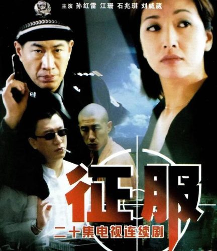 2004电视剧排行榜(2004年电视剧大全部)插图44