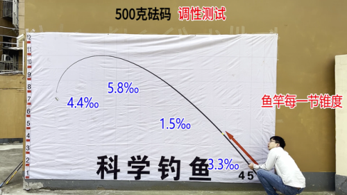 黑坑鱼竿品牌排行榜(黑坑用什么牌子鱼竿好)插图12