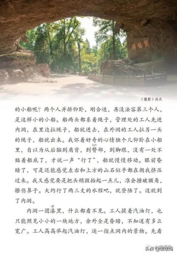 鹃的拼音和组词(鹃什么词语)插图1