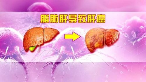 护眼一号(护眼卫士)插图7
