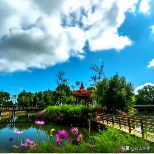 乌兰浩特美食排行榜(乌兰浩特最好吃的餐馆)插图19