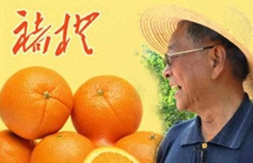十大匠心系列品牌排行榜(大工匠十大品牌排行榜)插图3