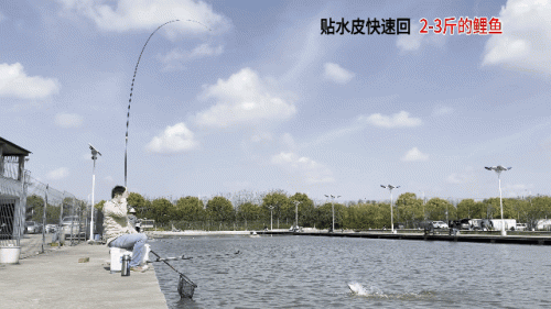 黑坑鱼竿品牌排行榜(黑坑用什么牌子鱼竿好)插图14