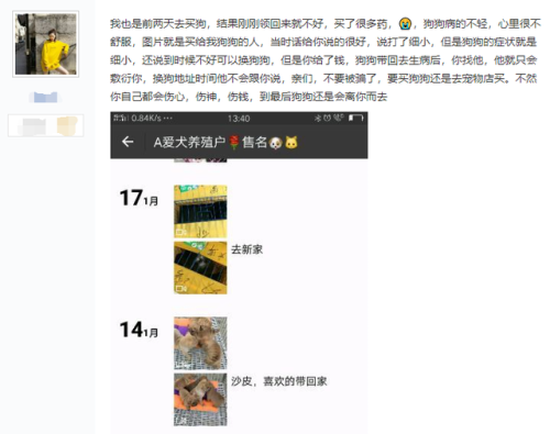 狗山香水排行榜(最火香水排行榜前十名)插图6