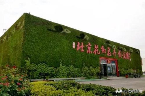 全国最全花市排名前十(医科大学全国排名)插图9