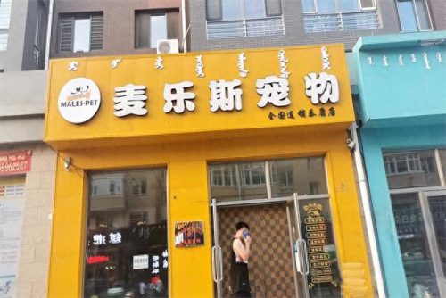 中国十大吃龟品牌排行榜(大龟哪个牌子好)插图5