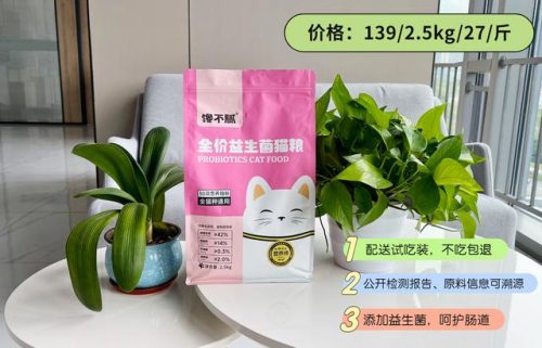猫类智商排行榜(公认最聪明的6种猫)插图12