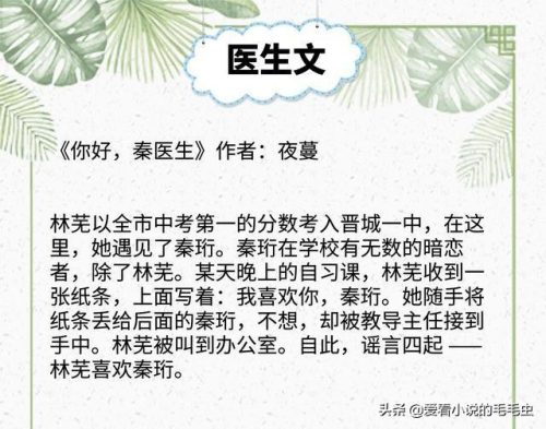 医生类小说排行榜(主角是外科医生的小说)插图4