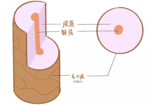 摩洛哥发膜排行榜(moroccanoil摩洛哥护发精油)插图4