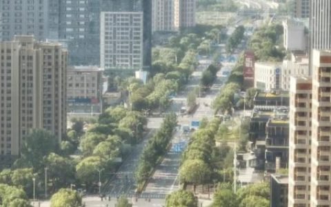 虹桥枢纽5路(公交站台)