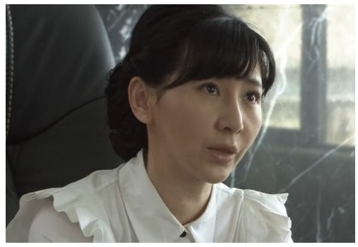 特种兵之火凤凰演员表(特种部队1演员表简介)插图5