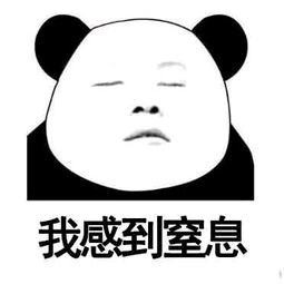 海南乳胶漆涂料排名前十(海南内墙漆排名前十)插图6