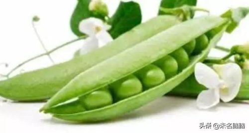 含胆碱高的食物排行榜(富含胆碱的食物一览表)插图7
