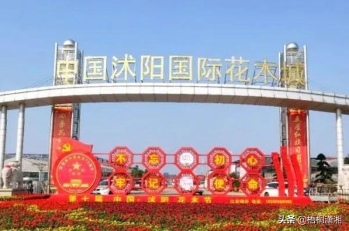 全国最全花市排名前十(医科大学全国排名)插图6