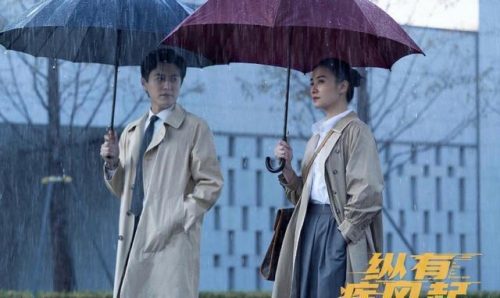 靳东最新电视剧(我的前半生2 电视剧)插图30
