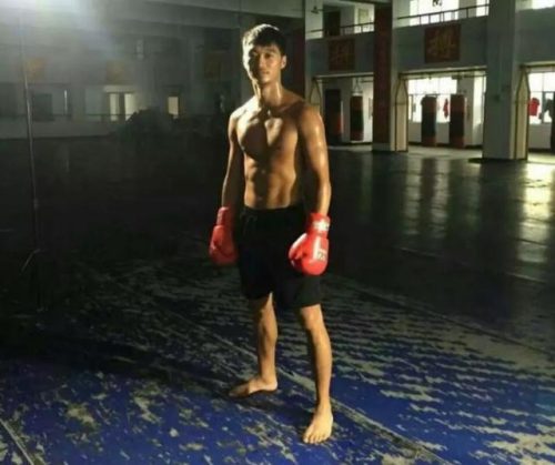 河南打拳高手排名前十(河南武术高手)插图18
