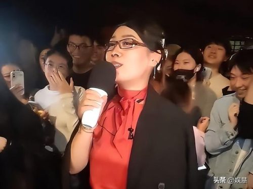 铿锵玫瑰田震歌词(田震的一首歌叫什么玫瑰)插图3