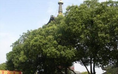 寒山寺简介(寒山寺旁边算命很准的师傅)