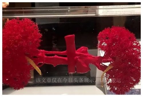 冯哈根斯(大连哈根斯工厂)插图2