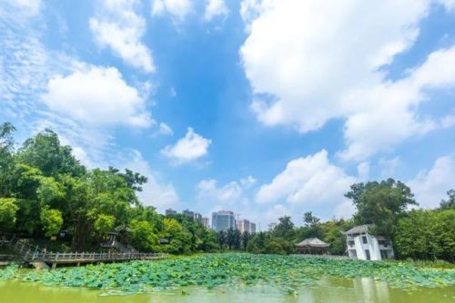 环保绿化公司排名前十(园林景观公司排名)插图1