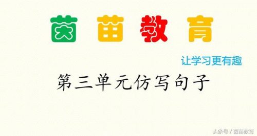 睡梦中的妈妈仿写一段话(二年级仿写妈妈的样子)插图