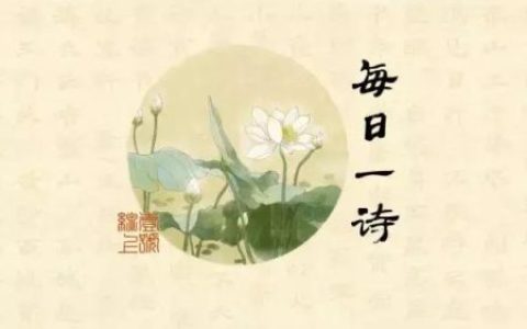 春去花还在(春去花还在下一句是什么)