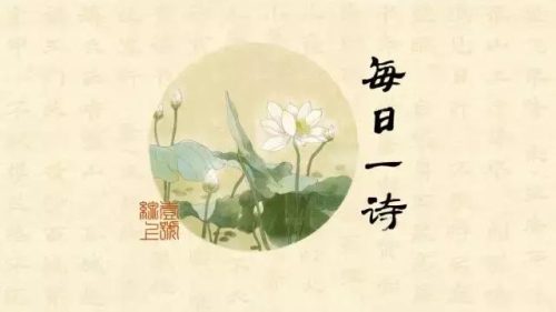 春去花还在(春去花还在下一句是什么)插图