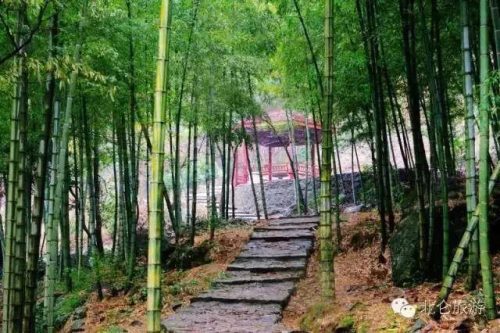 北仑区小众景点排名前十(小众旅游)插图12