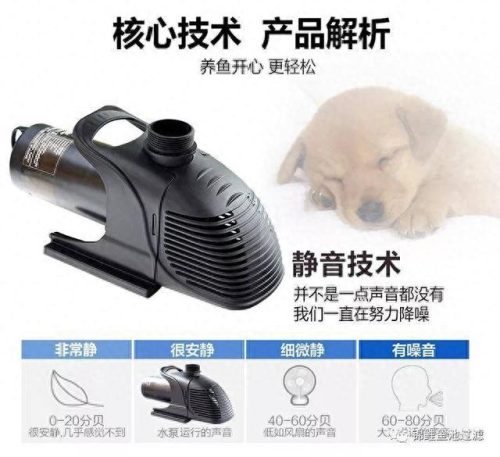 鱼塘水泵十大排行榜(水泵十大厂家排名)插图8
