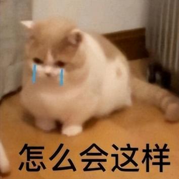 婴儿零食排行榜(婴儿零食哪个牌子靠谱)插图33