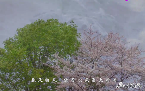儿童励志歌曲排行榜(儿童励志歌曲《阳光少年》)插图4