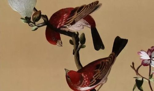 苏州清代首富排名前十(清朝世界首富是谁第一)插图25