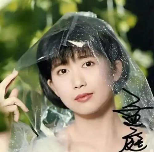 陈淑桦个人资料简介(陈淑桦年轻时最美图片)插图19