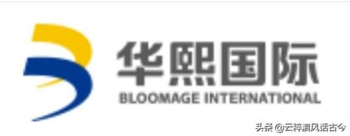 丽江建筑排名前十公司(丽江的城镇建筑有什么特点)插图