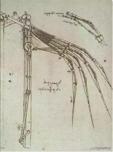 高智商排行榜(中国明星智商前10名)插图19