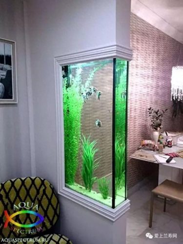 十大鱼缸品种排行榜(十大鱼缸排名前十名)插图30