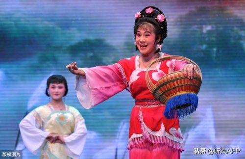 曲剧排行榜(邯郸市曲剧团演员名单)插图1