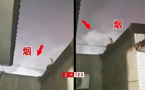 霸州烤肉饭店排名前十(霸州自助烤肉有几个)插图1
