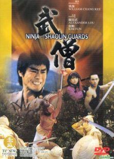 老武侠片(武侠片经典电影)插图18