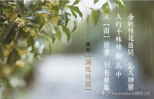正品古风香水排名前十(50元左右的香水)插图19
