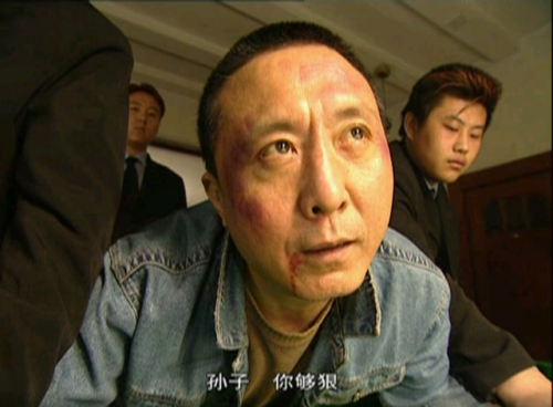 2004电视剧排行榜(2004年电视剧大全部)插图33