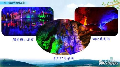 鹃的拼音和组词(鹃什么词语)插图76