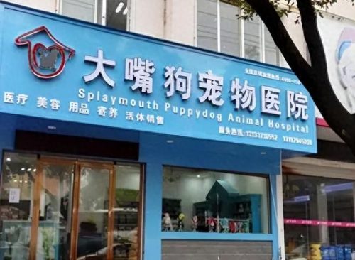 中国十大吃龟品牌排行榜(大龟哪个牌子好)插图3