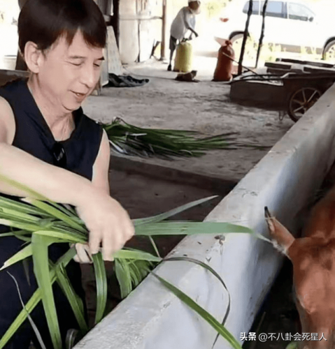 老牌明星排行榜(张学友的知名度)插图30