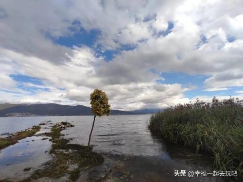 大理奶茶推荐排名前十(保定有没有一点点奶茶)插图3