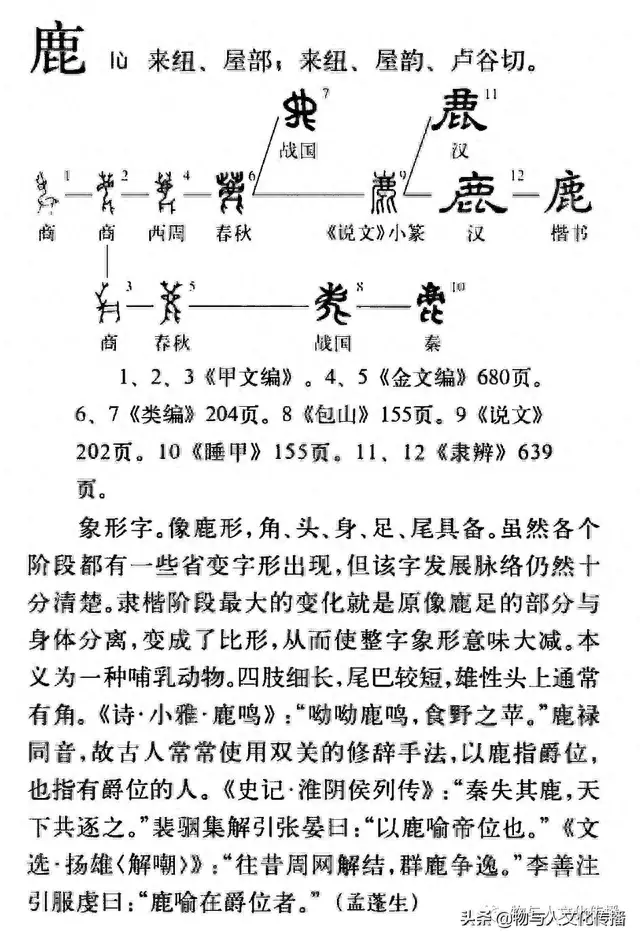郦姓十大名人排行榜图片(郦姓十大名人排行榜图)插图3