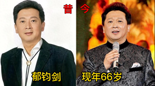年度十大男高音演员排行榜(十大实力男演员)插图12