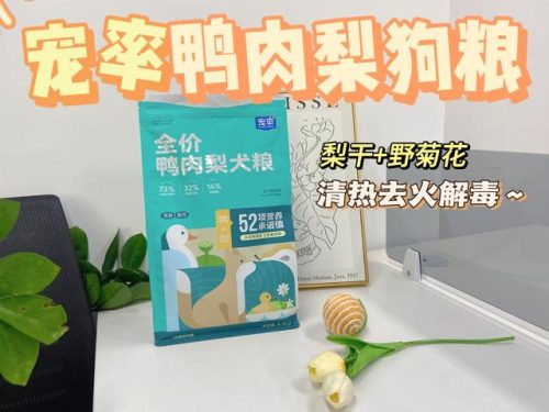 狗狗不掉毛排行榜(十大最不掉毛的狗狗品种)插图18