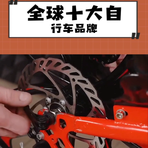 美国自行车排行榜(全球自行车品牌排行榜)插图2